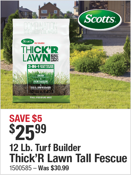 Scotts Tall Fescue